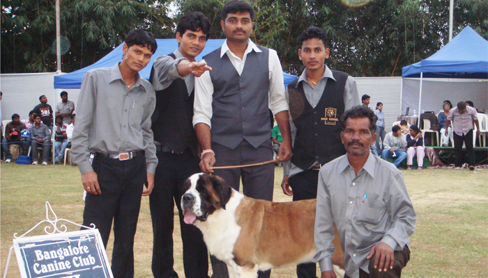 Image Caption